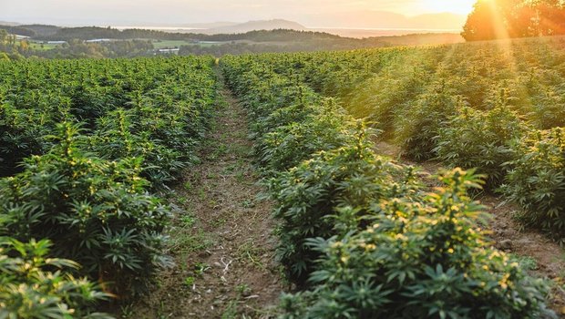 Ein Standort ohne Nebel ist von Vorteil.