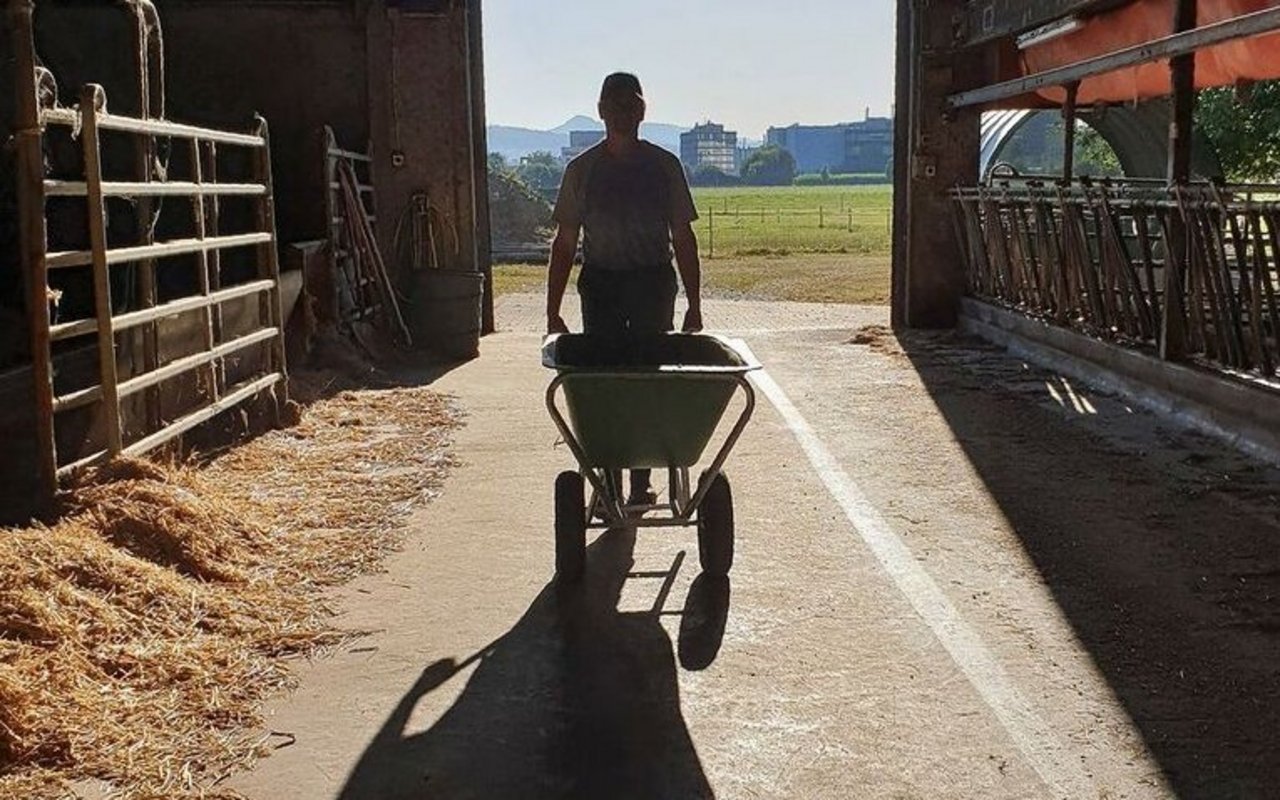 Wenn auf dem Betrieb jemand ausfällt, braucht es kompetente Hilfe.