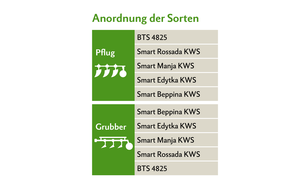 Eine Hälfte wird im Pflugverfahren und die andere mittels Mulchsaat angesät.