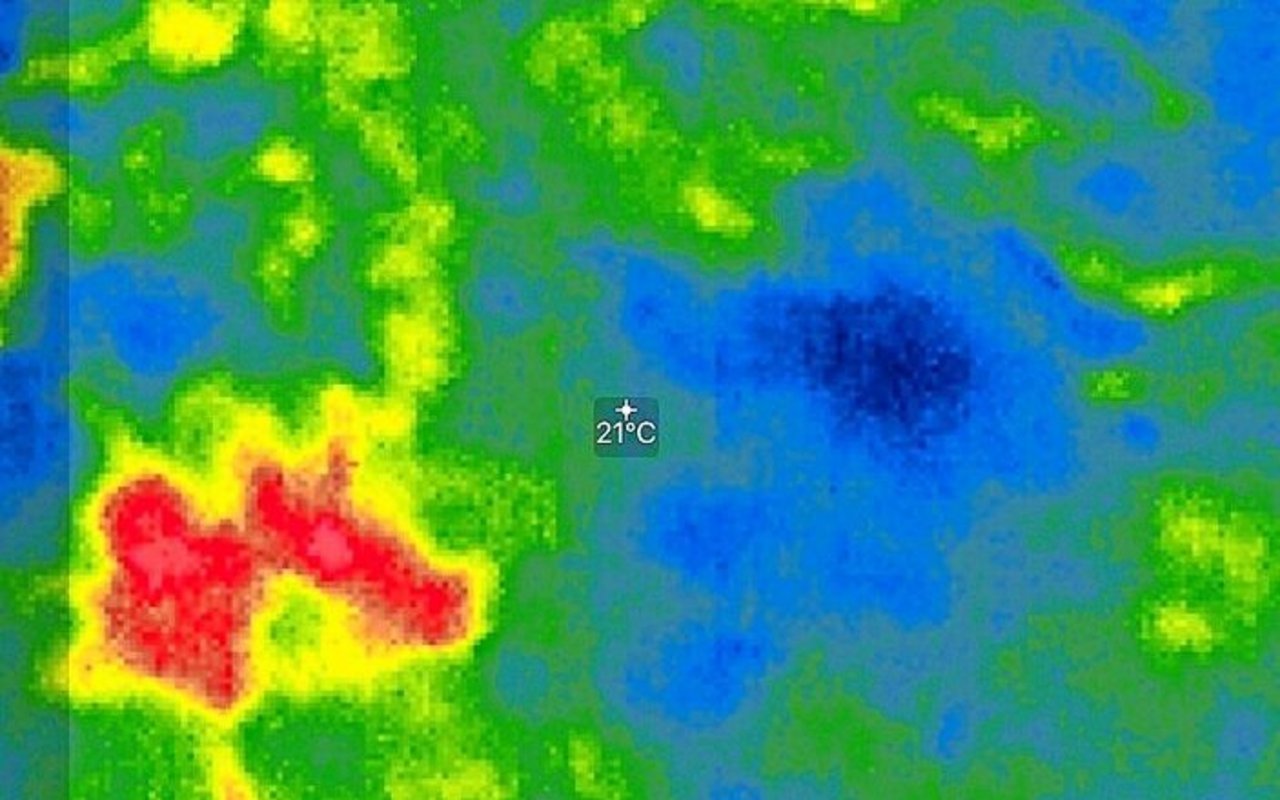 Auf der linken Seite ist eine heisse Stelle im Futter anhand der roten Farbe erkennbar. Rechts im dunkelblauen Bereich sieht man einen Kamin, bei dem ein grosser Teil der Luft verloren geht. Hier sollte man unbedingt das Futter umschichten und auflockern.