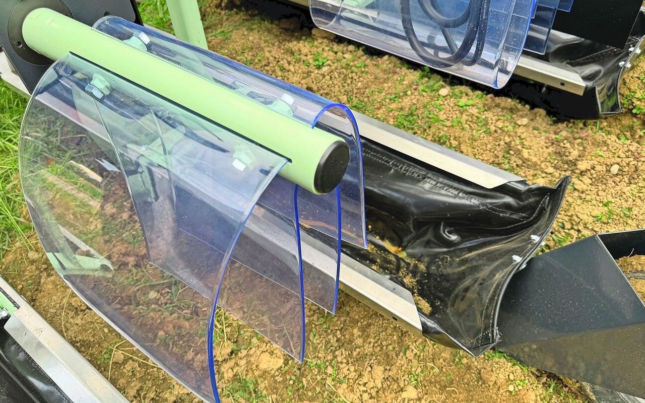 Mittels Plastiklamellen werden die Käfer aus dem Kraut herausgeschlagen.