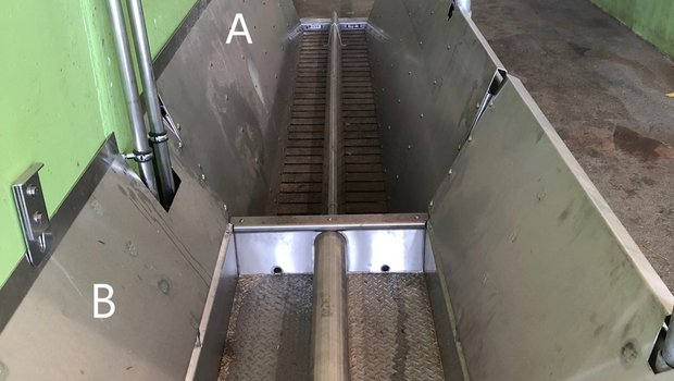 Vorgeschaltete Klauenwaschanlage mit Wasser (A) und anschliessendem Klauenbad (B). Die geschlossenen Seitenwände verringern den Flüssigkeitsverlust und verhindern, dass die Tiere ausweichen oder daneben treten. Der Gang neben dem Bad ermöglicht ein selektives Baden, damit Tiere mit aktiven «Erdbeeri» und Verbänden nicht durch das Bad müssen. Bild: Inforama Rütti