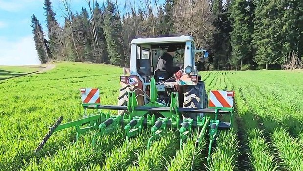 Stefan Rohrbach hat selbst einen Dammpflug entwickelt und gebaut. Das Dämmeziehen, die Saat und die Pflegearbeiten erfolgen mit dem gleichen Gerät.