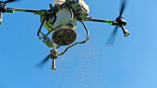 Sanft aus der Luft gestreut: Die Drohne bringt Gras- und Kleesamen aufs Feld – der erste Schritt zu mehr Bodenruhe und besserer Feldhygiene.