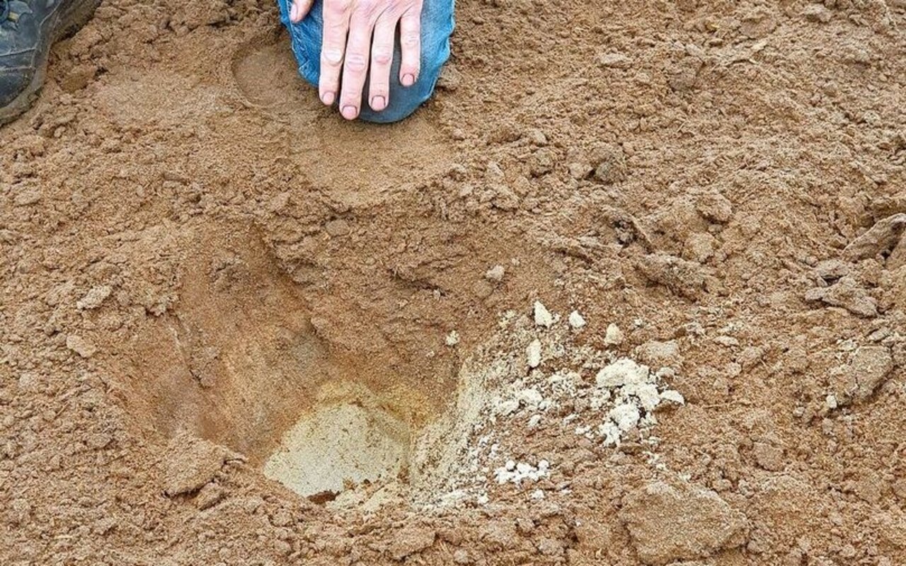 In nur wenigen Zentimetern Tiefe ist der Sand wieder hell. 