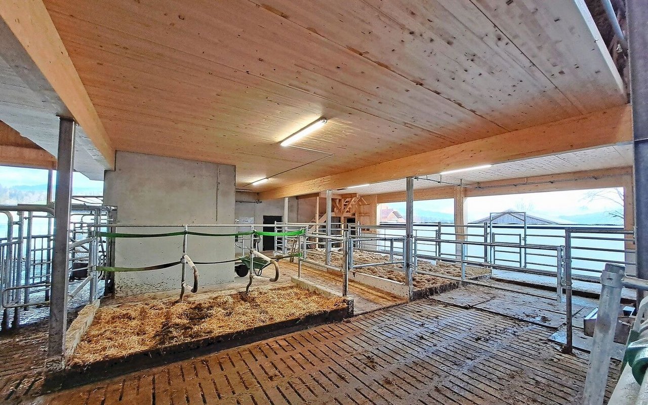 In diesem Bereich befindet sich hinter der grauen Wand der Melkroboter. Der Roboter kann Tiere in den Behandlungsbereich und die Abkalbebucht selektionieren. Diese Automatisierung erleichtert die täglichen Arbeiten.