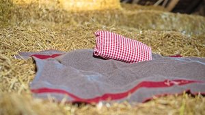 Agrotourismus Eine Wolldecke liegt im Stroh.