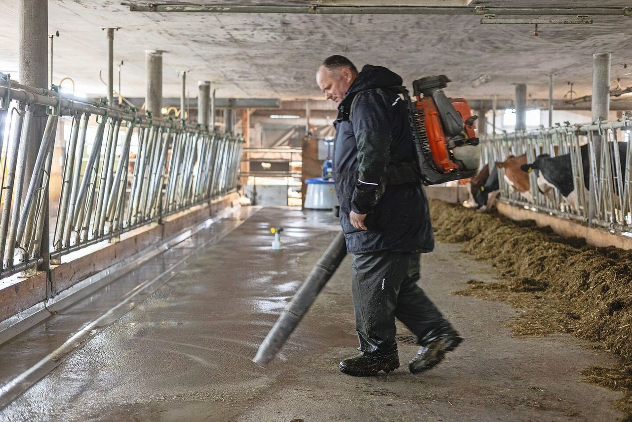 Weg mit dem Wasser: Der Laubbläser kommt im Stall zum Einsatz.