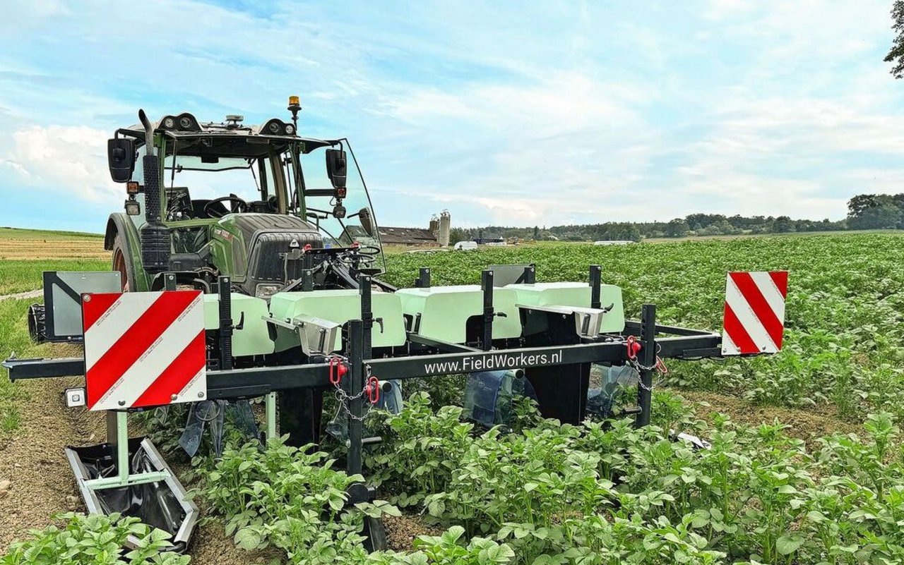 Die heruntergeschlagenen Käfer und Larven werden in Auffangbehältern (siehe unten links) gesammelt. Aufrecht wachsende Kartoffelsorten eignen sich besser für die mechanische Kartoffelkäferbekämpfung als breit wachsende Sorten. 