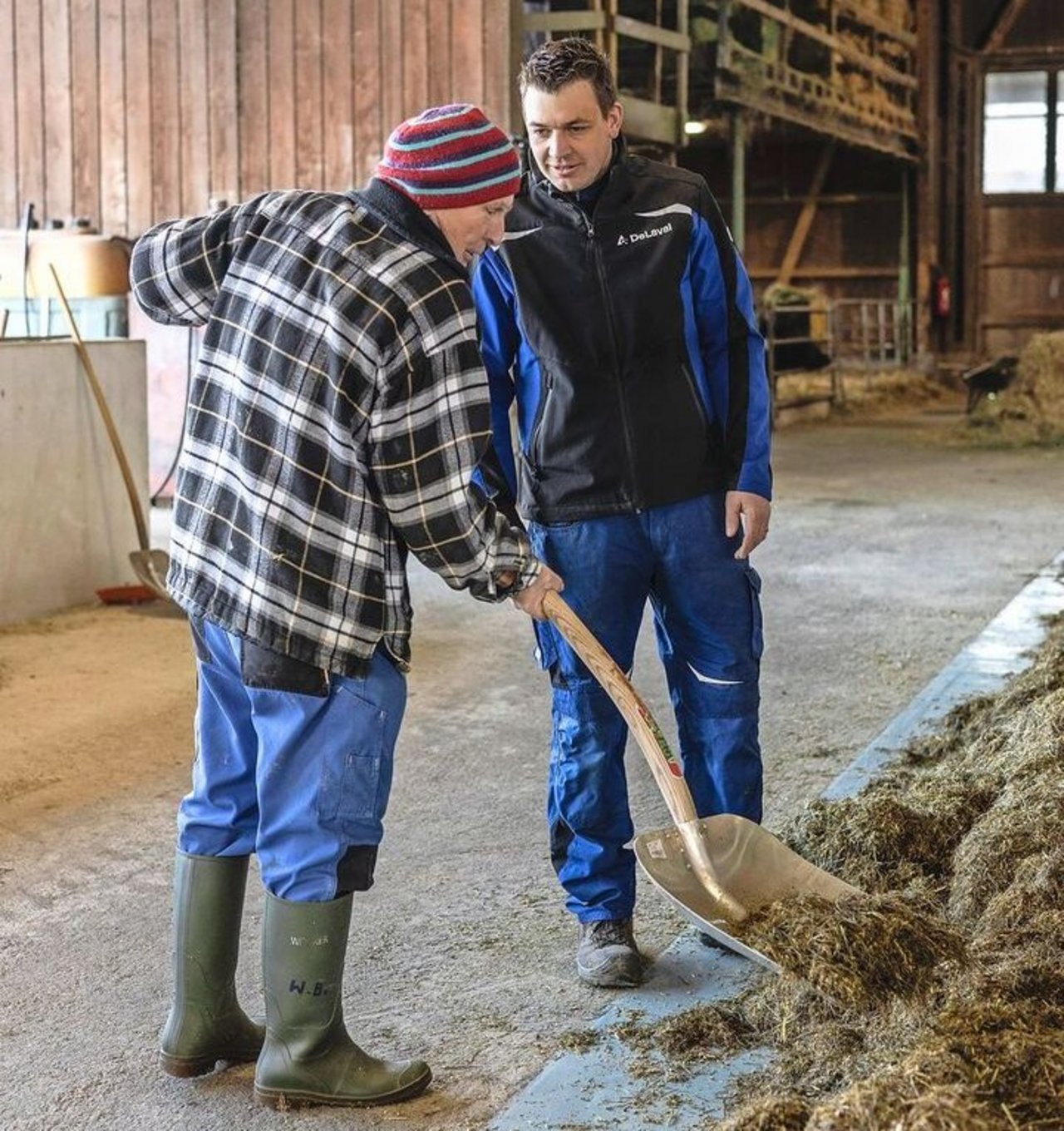 Werner Burri (links) ist fast täglich bei Tobias Kritzer im Stall und unterstützt bei Arbeiten rund um die Kälber.