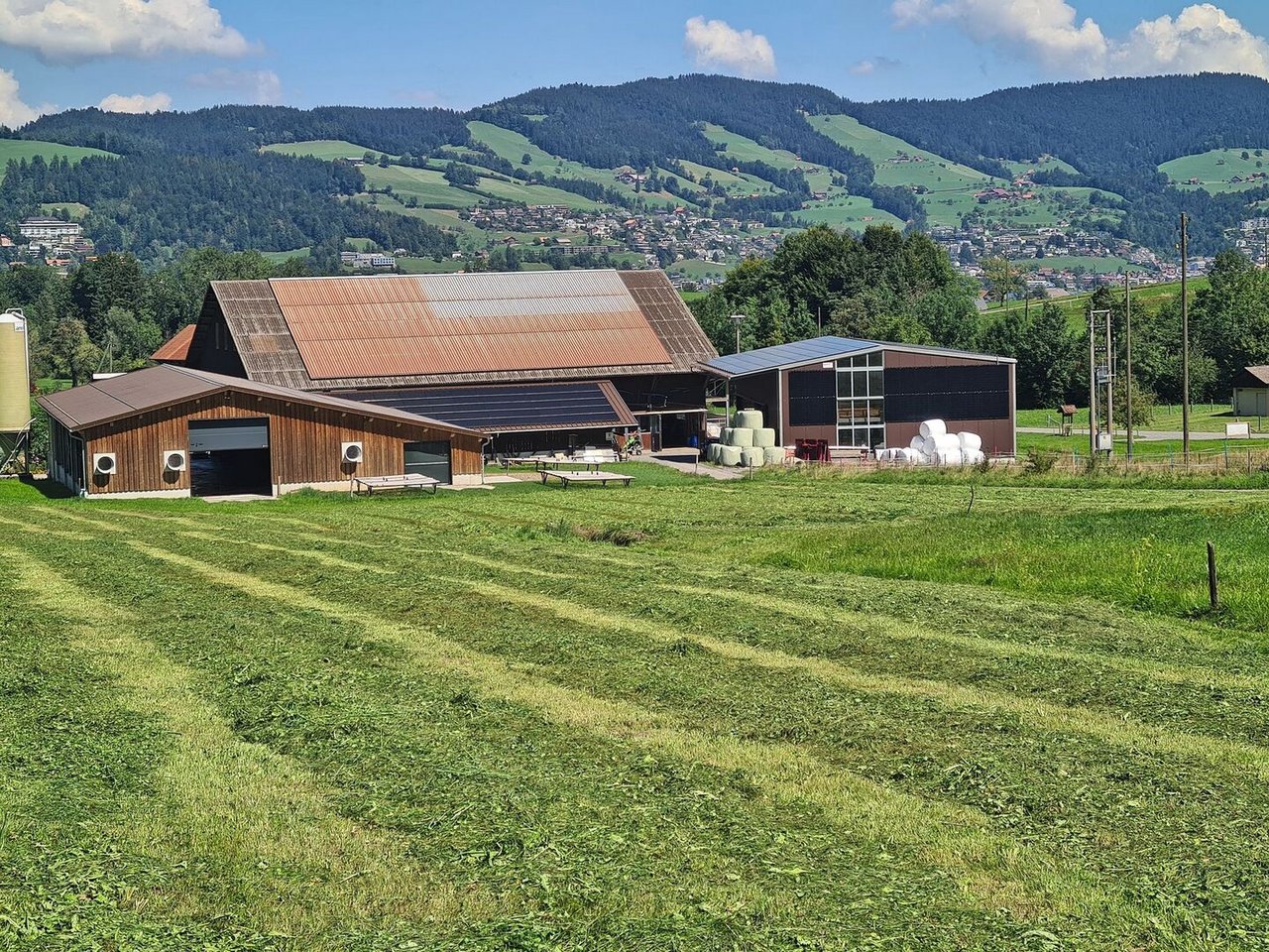 Die Photovoltaikmodule auf dem Betrieb der Familie Iten in Unterägerei ZG sind auf Dächern nach Osten, Süden und Westen sowie an einer Südfassade montiert.
