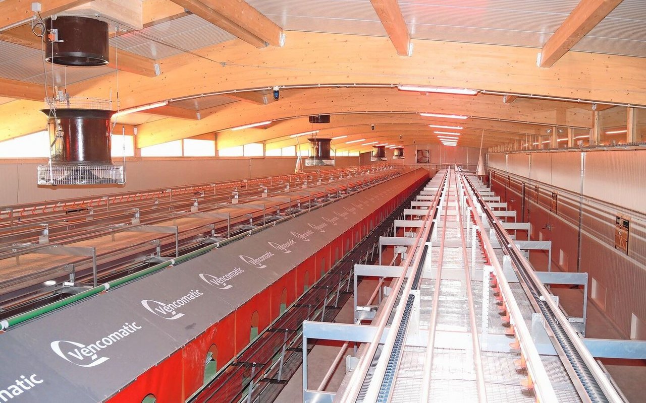 Werden im Geflügelbereich Unterdruck- und Gleichdrucklüftungen kombiniert, spricht man von einer Hybridlüftung. 