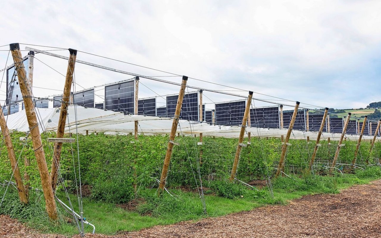 Die «Agriverti»-Anlage (erstellt im Jahr 2023) können Landwirte  relativ günstig selber bauen.