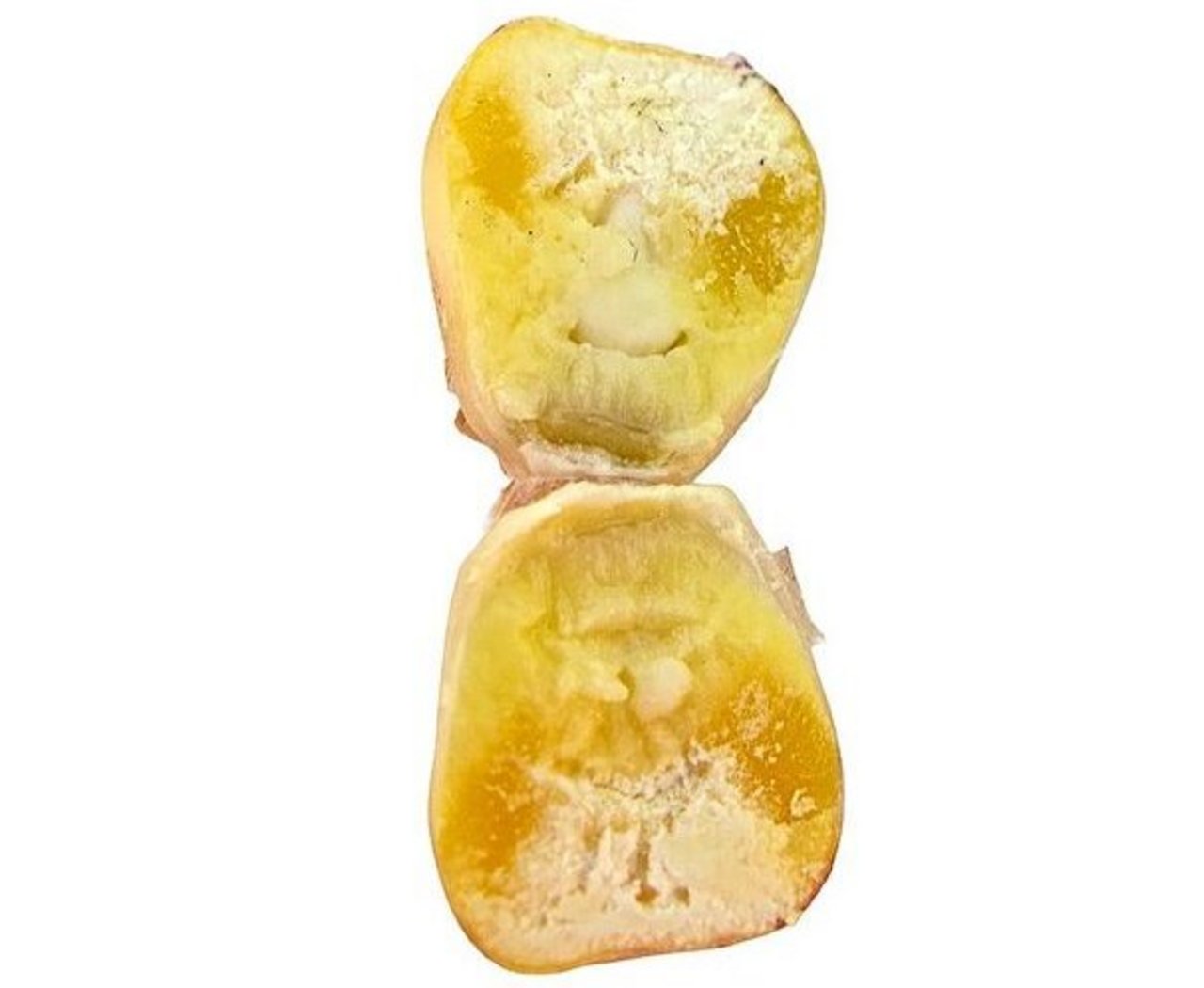 Dieses Maiskorn ist ein hartmaisähnlicher Zwischentyp mit einem TS-Gehalt von rund 45 Prozent. Es wäre jetzt erntereif. 