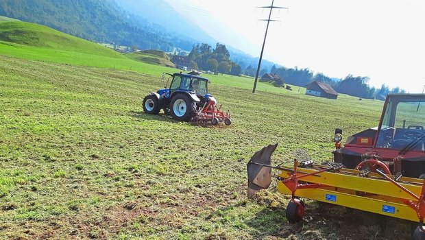 Besteht ein Filz im lückigen Grasbestand, sollte dieser vor der Übersaat ausgestriegelt und das Material allenfalls abgeführt werden.
