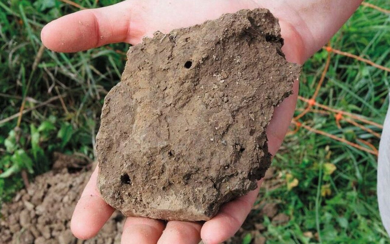 Auf den Bildern ist ein Braunerdeboden mit ca. 25 % Tongehalt zu sehen. Links verdichtet, rechts locker.