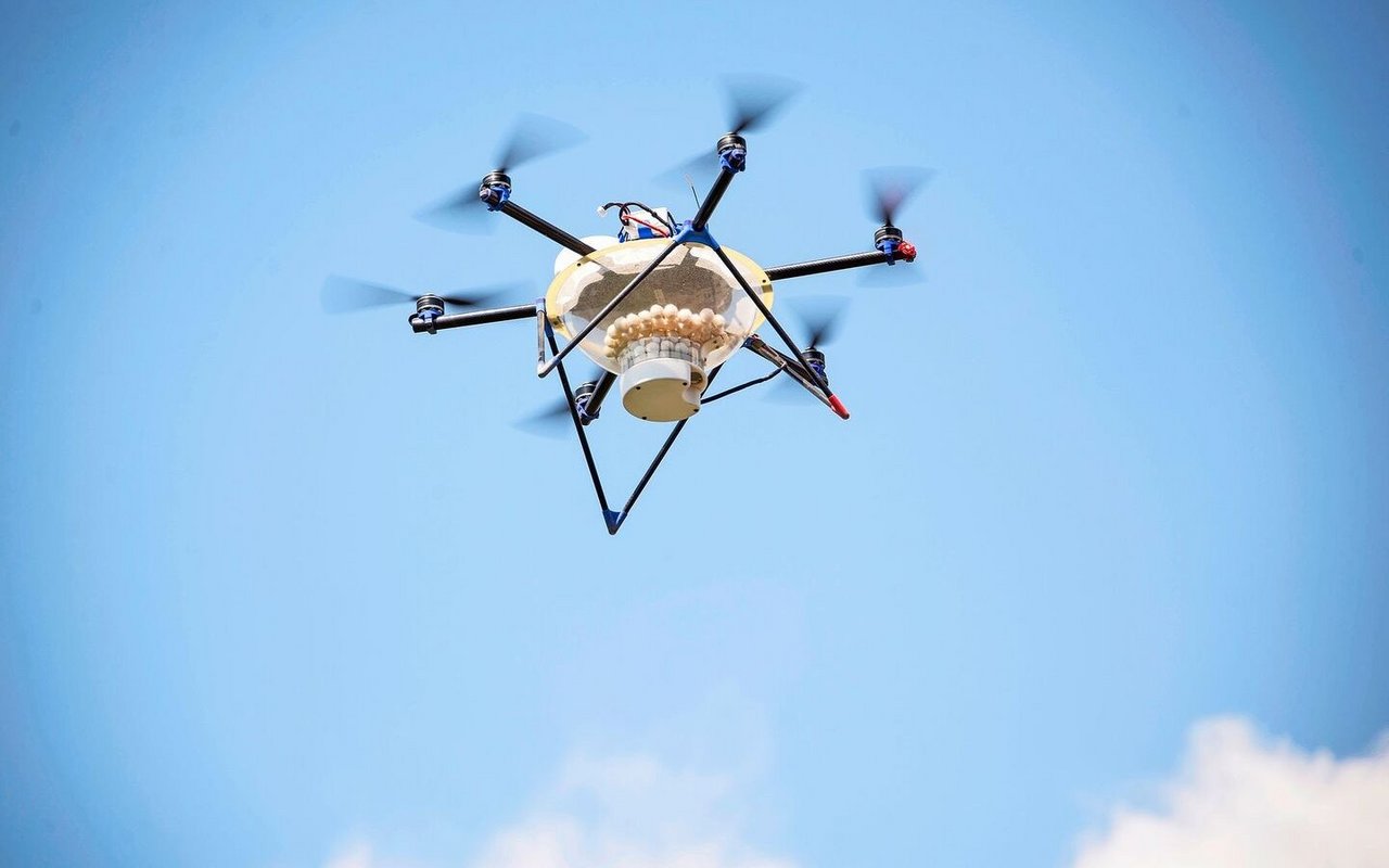 Das gezielte Ausbringen von Nützlingen oder Pflanzenschutzmitteln mit Drohnen kann die Aufwandmenge von PSM erheblich reduzieren. 