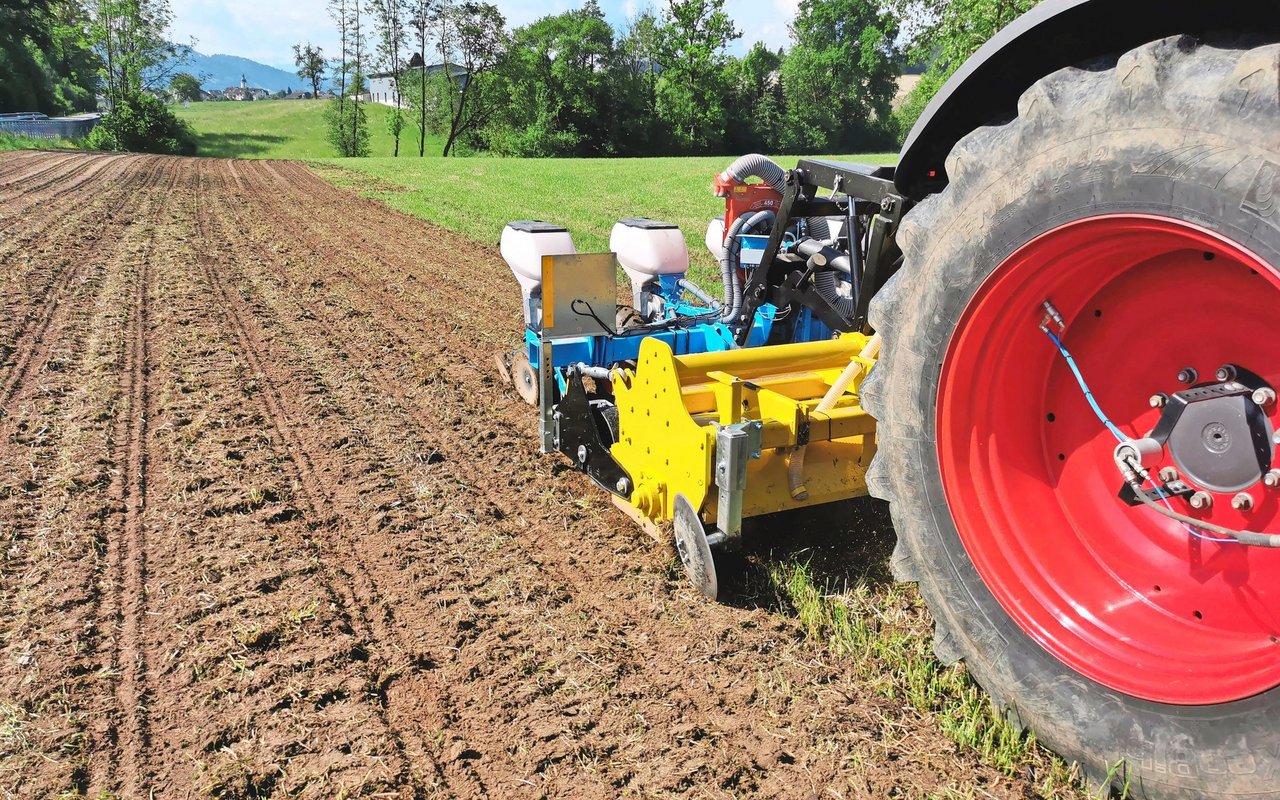 Die Königsklasse beim Säen: der Wiesenumbruch. Früher wurde gewendet, heute wird vermehrt gehobelt, in Streifen gefräst oder oberflächlich gemulcht.