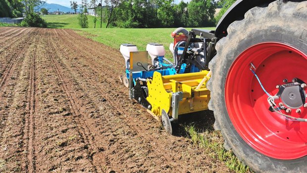 Die Königsklasse beim Säen: der Wiesenumbruch. Früher wurde gewendet, heute wird vermehrt gehobelt, in Streifen gefräst oder oberflächlich gemulcht.