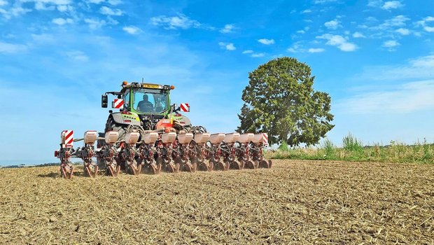 Ein Traktor von hinten fotografiert, wie er den Raps sät.