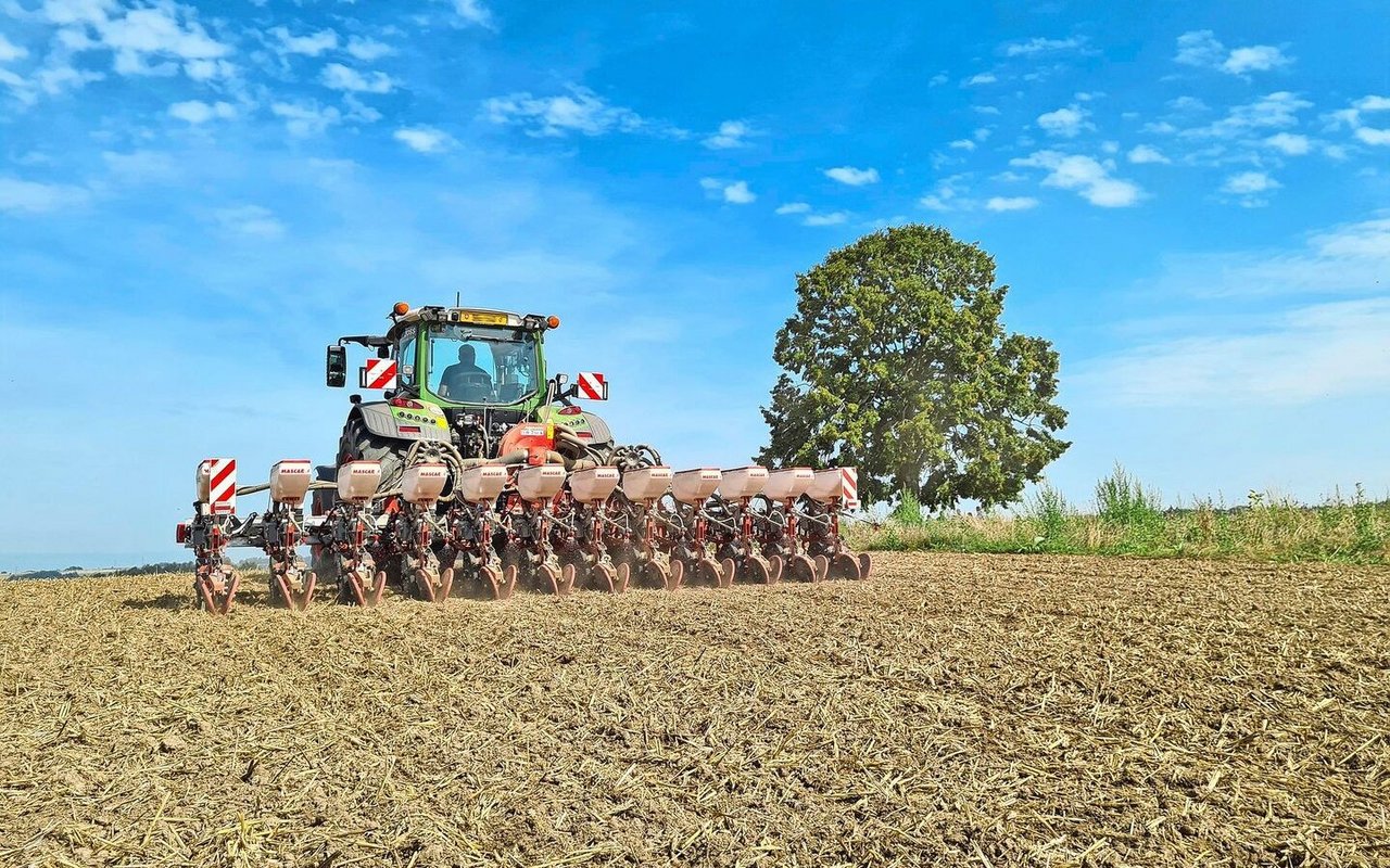 Ein Traktor von hinten fotografiert, wie er den Raps sät.