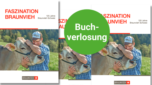 Titelseite des Buches «Faszination Braunvieh»
