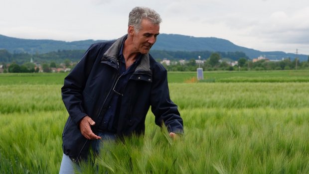 «Es war ein schmerzvoller Entscheid, den wir da fällen mussten», sagt OK-Präsident Hans Hirschi von der Landor. Bild: Martina Rüegger