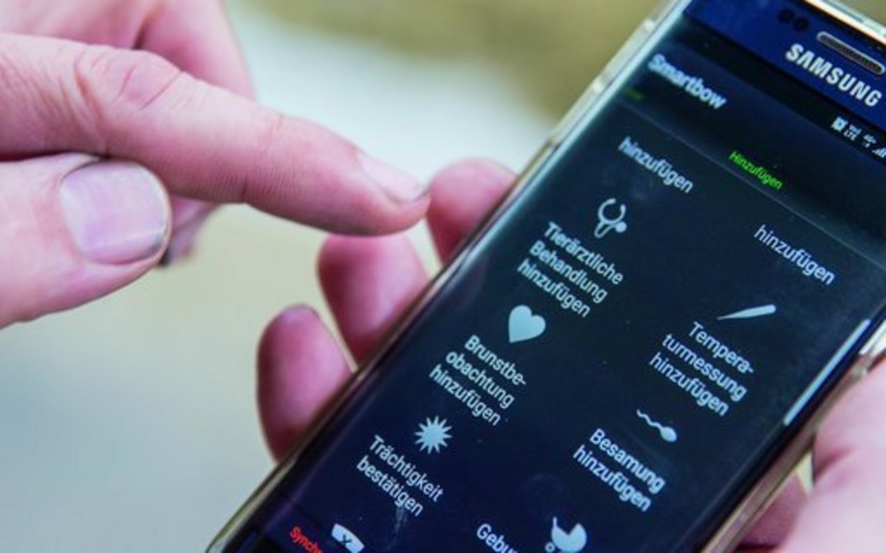 Bildschirm eines Smartphones, auf dem eine App zur Brunstüberwachung geöffnet ist.