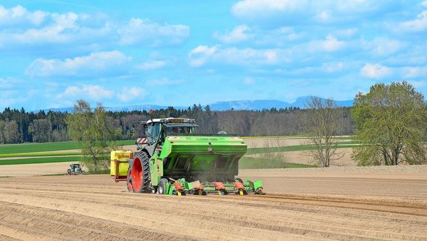 Aufgrund der vielen Niederschläge gab es im Frühjahr vielerorts Verzögerungen bei der Auspflanzung der Kartoffeln.