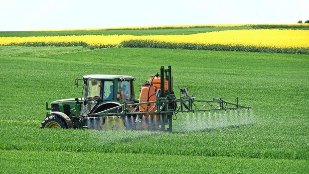 Der Zucker wird zusammen mit Stickstoff in Wasser gelöst und via Flüssigdüngung in den Weizen gespritzt.