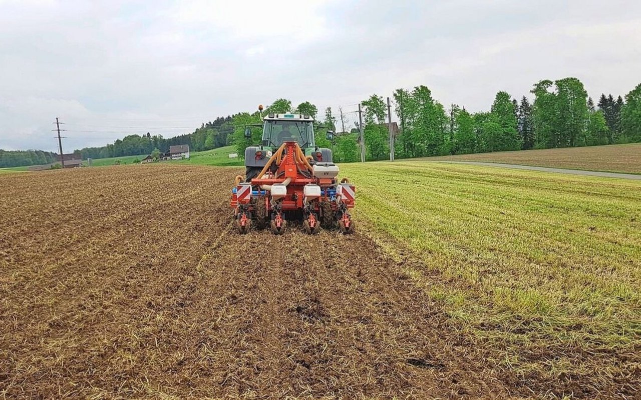 Mit der Maishobelsaat wird der Boden nur oberflächlich bearbeitet. Auch sie zählt zu den Mulchsaatverfahren.