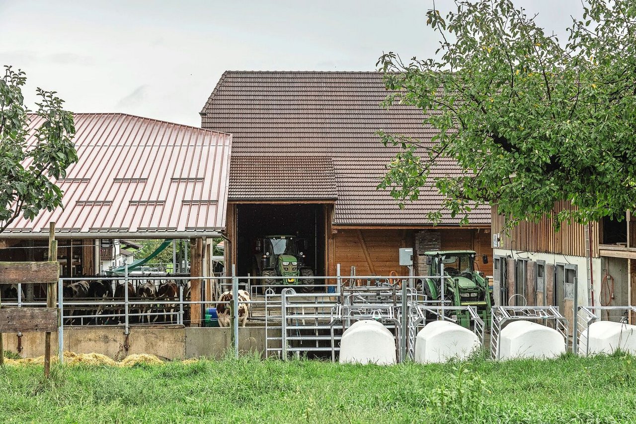 Im Stall und mit den Tieren ist Anja Hodel sattelfest, 2026 will sie bei den Arbeiten mit den Maschinen noch sicherer werden.