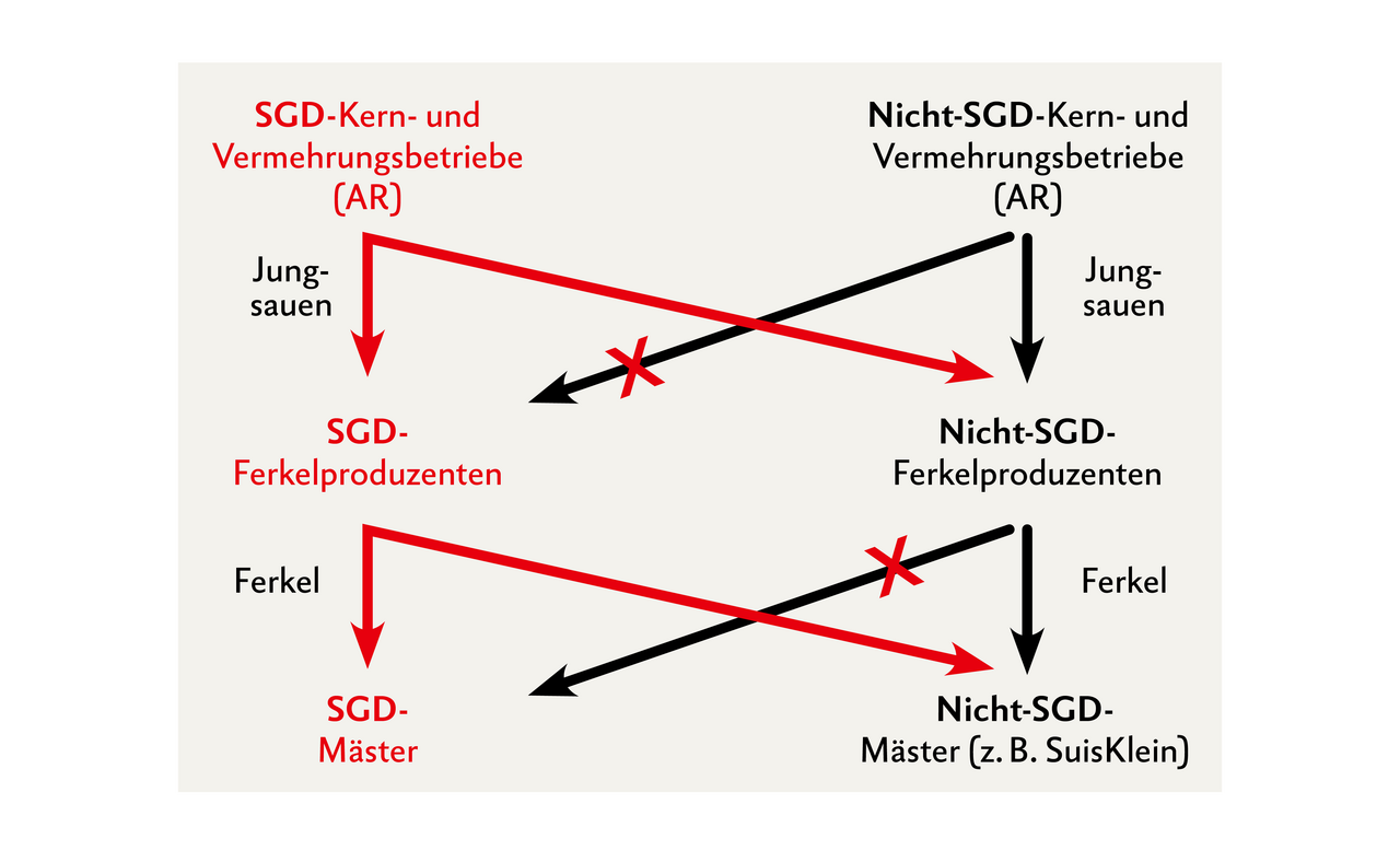 Hinweis: «SuisKlein» gibt keine Auskunft über den Gesundheitszustand im Betrieb, sondern attestiert nur das Führen des EBJs! Quelle: Suisag