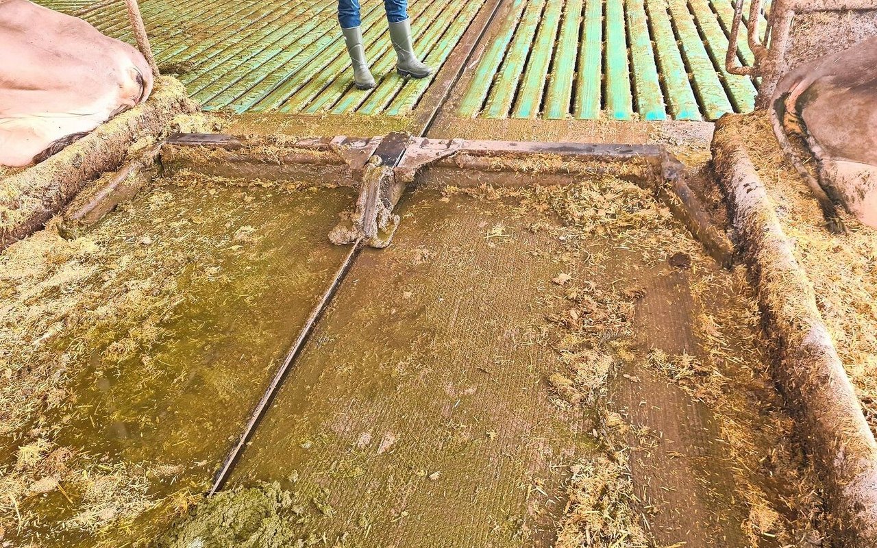 Seilzugschieber sind sehr bewährt und werden in verschiedenen Varianten angeboten.