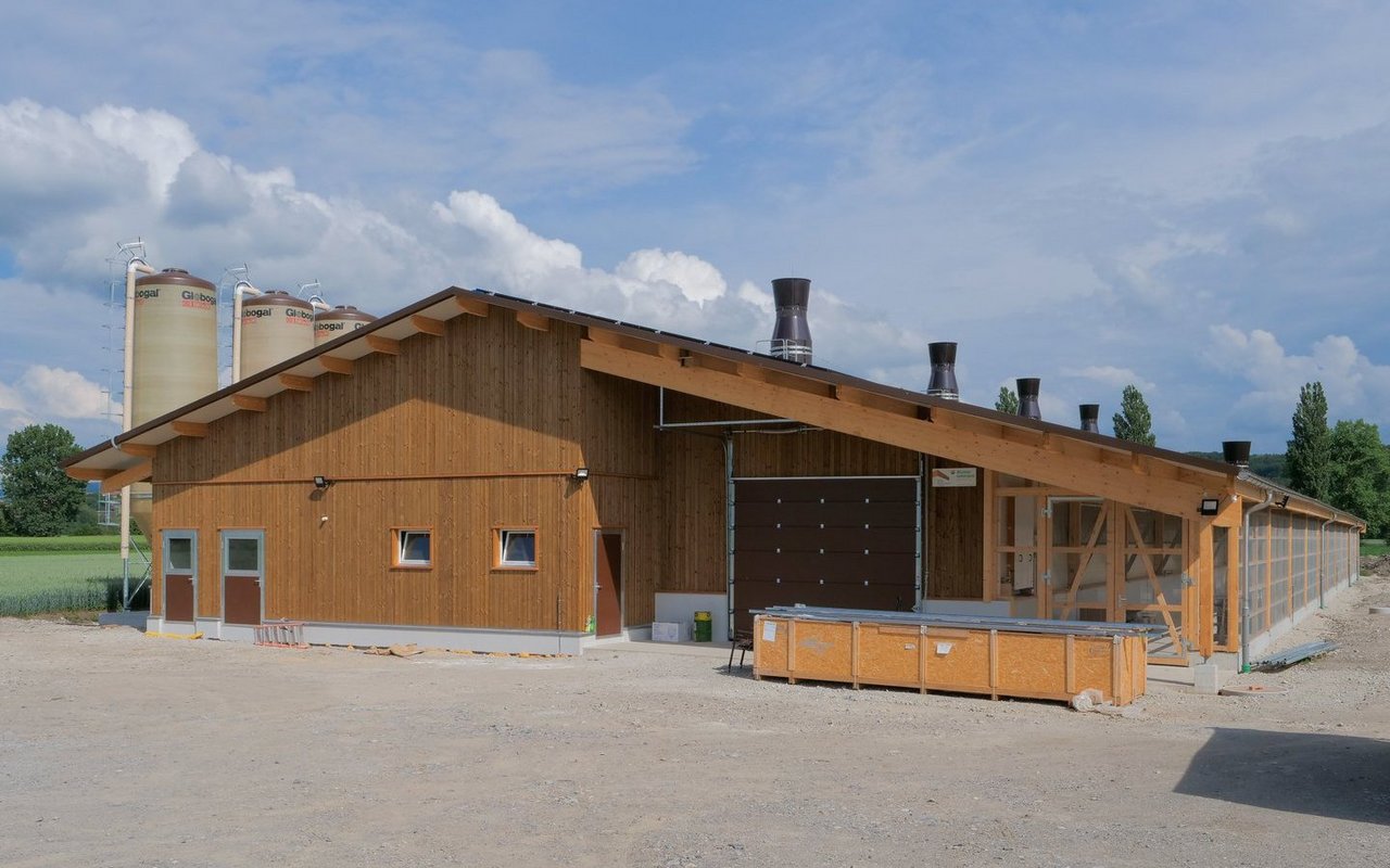 Geflügelställe sind Normställe, bei welchen kaum Anpassungen vorgenommen werden können. 