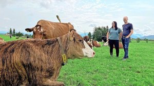 Bunte Herde mit Zweinutzungstypen: Daniela und Walti Haas auf der Weide in Hellbühl. Seit 2017 sind sie bio, zusätzlich wird heute antibiotikafrei produziert.
