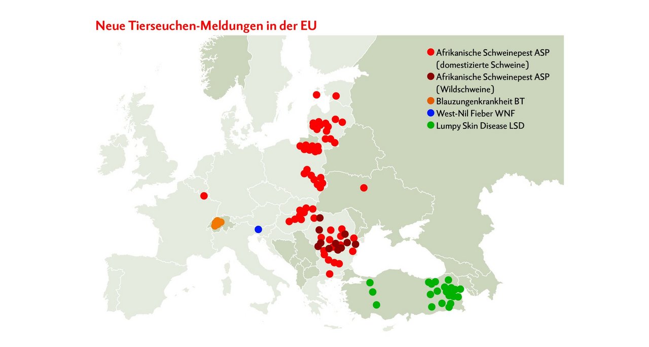 Die abgebildete Europa-Karte zeigt die neusten Tierseuchen-Meldungen von 31.10. bis 6.11.2019, von denen die grössten Gefahren ausgehen. Grafik: Doris Rubin