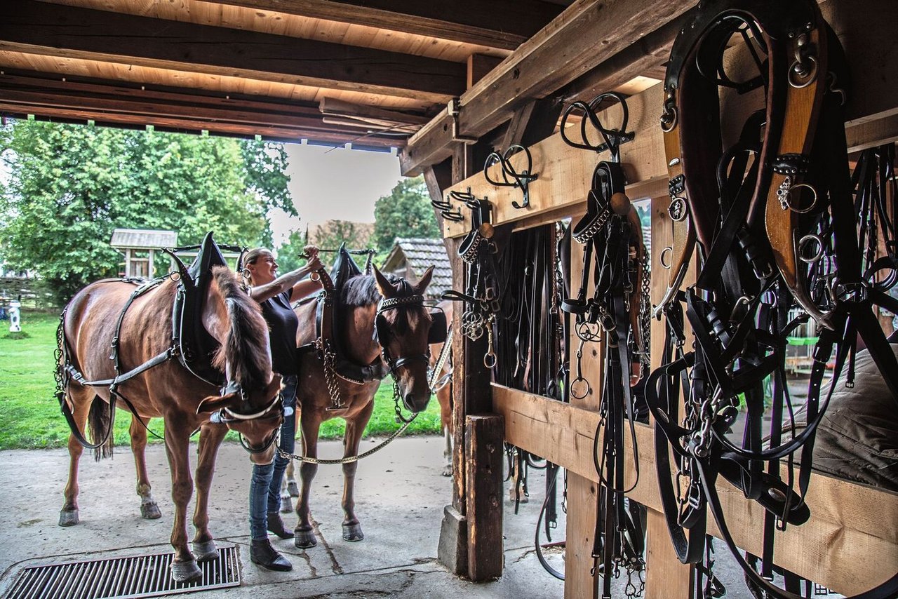 Das ganze Material ist ordentlich aufgehängt, damit die Pferde zügig vorbereitet und eingespannt werden können.