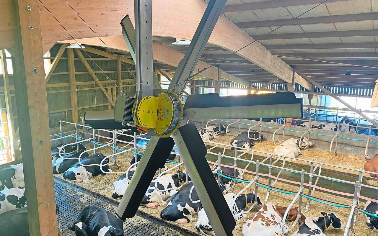 Deckenventilatoren saugen keine Frischluft an, sondern wälzen die bestehende Luft im Stall um.