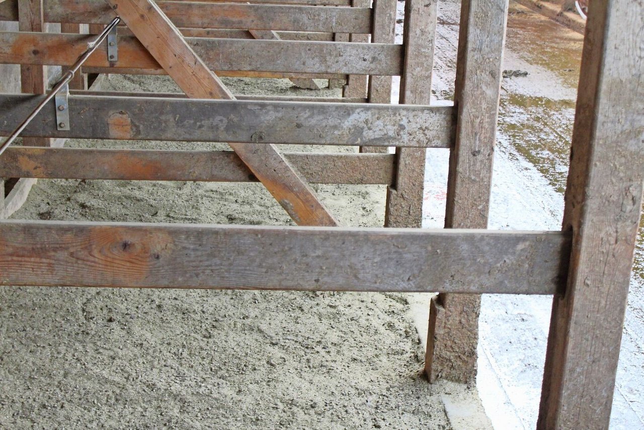 Für den Einsatz im Boxenlaufstall eignen sich die Strohpellets dank ihrer hohen Saugfähigkeit perfekt. 