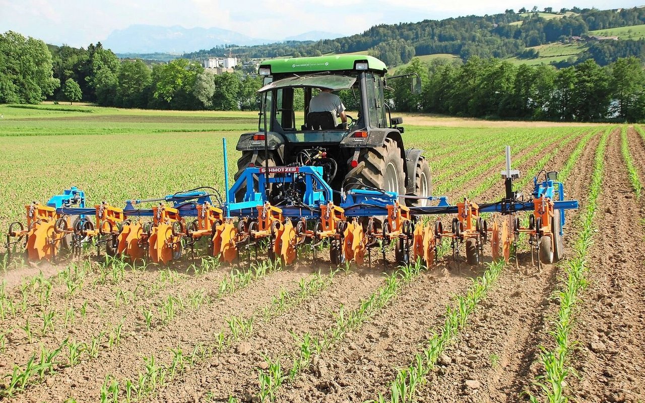 Das Hackgerät ist mit Gänsefussscharen, Schutzscheiben und Kamerasteuerung ausgerüstet. Die Schutzscharen schützen die Maispflanzen vor dem Verschütten. 