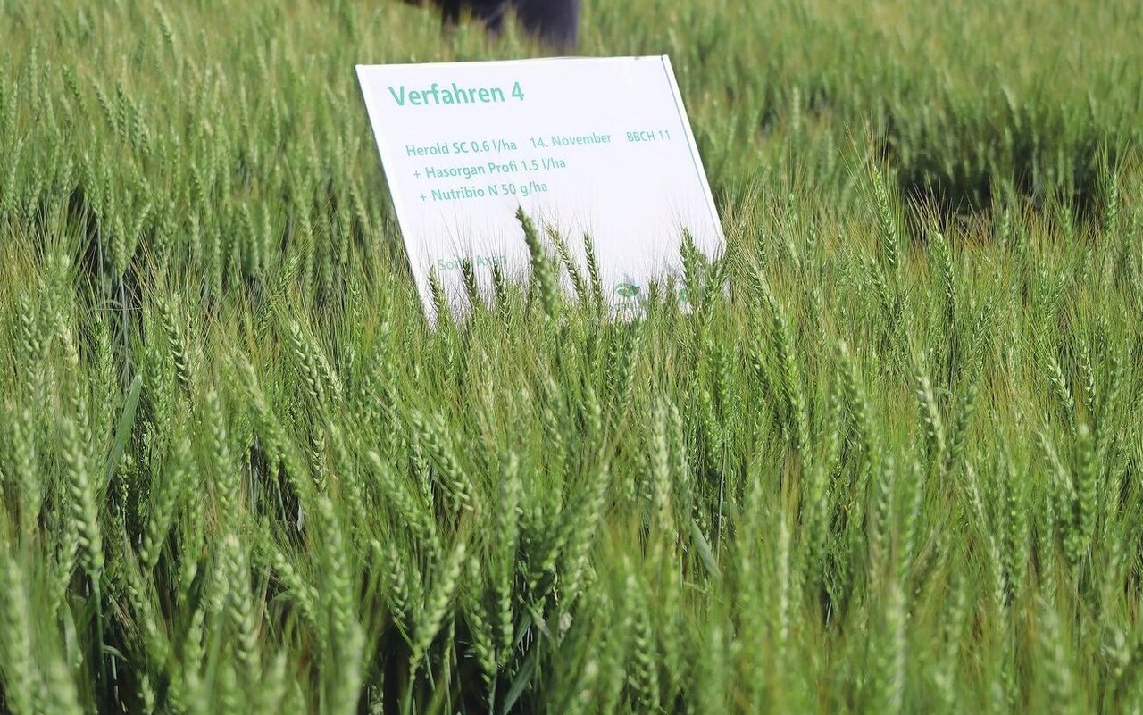 Sorgfältige Versuche müssen die tatsächliche Wirkung von Biostimulanzien  sicherstellen. Andernfalls erhalten diese kein Prüfsiegel. 