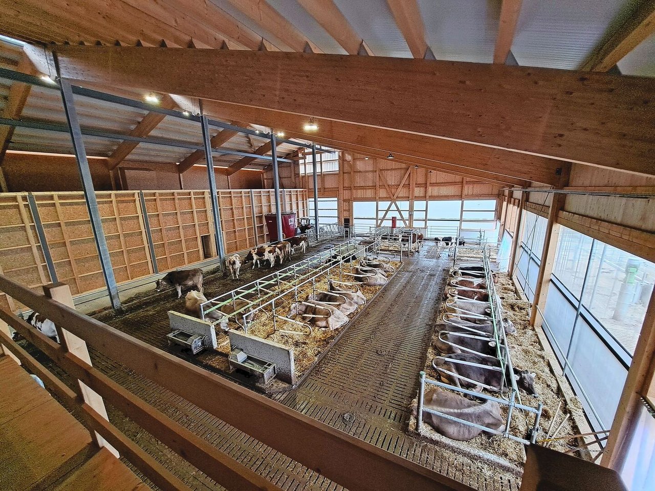 Die Seitenwände können an der rechten Seite und an den Stirnseiten für ein gutes Stallklima geöffnet werden.  