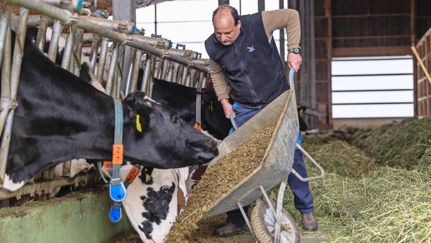 Milchviehhalter Herbert Meier ist von der Fütterung der Graspellets überzeugt. Den Kühen schmeckt es und praktikabel in der Handhabung sind die Pellets ebenfalls.