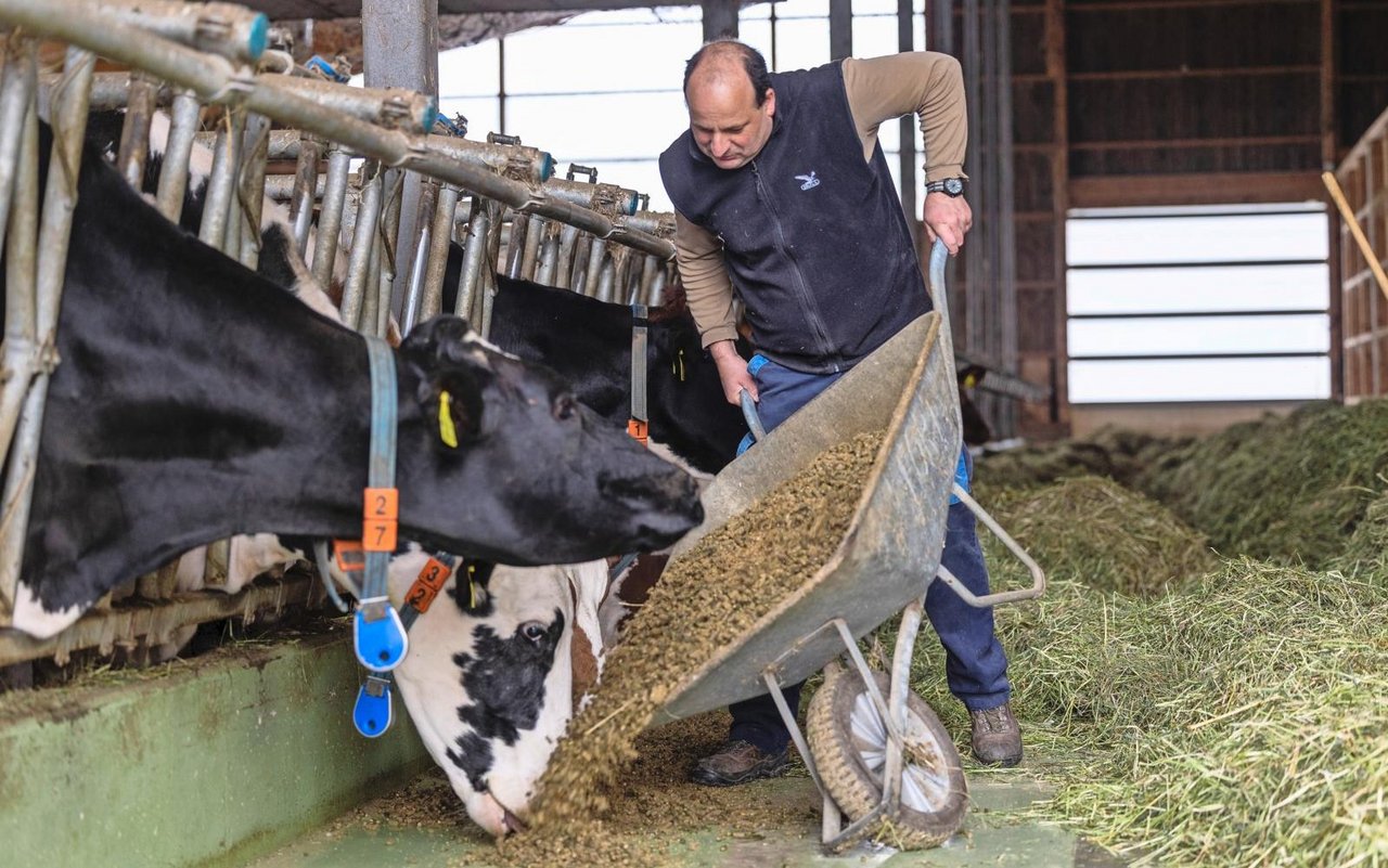 Milchviehhalter Herbert Meier ist von der Fütterung der Graspellets überzeugt. Den Kühen schmeckt es und praktikabel in der Handhabung sind die Pellets ebenfalls.