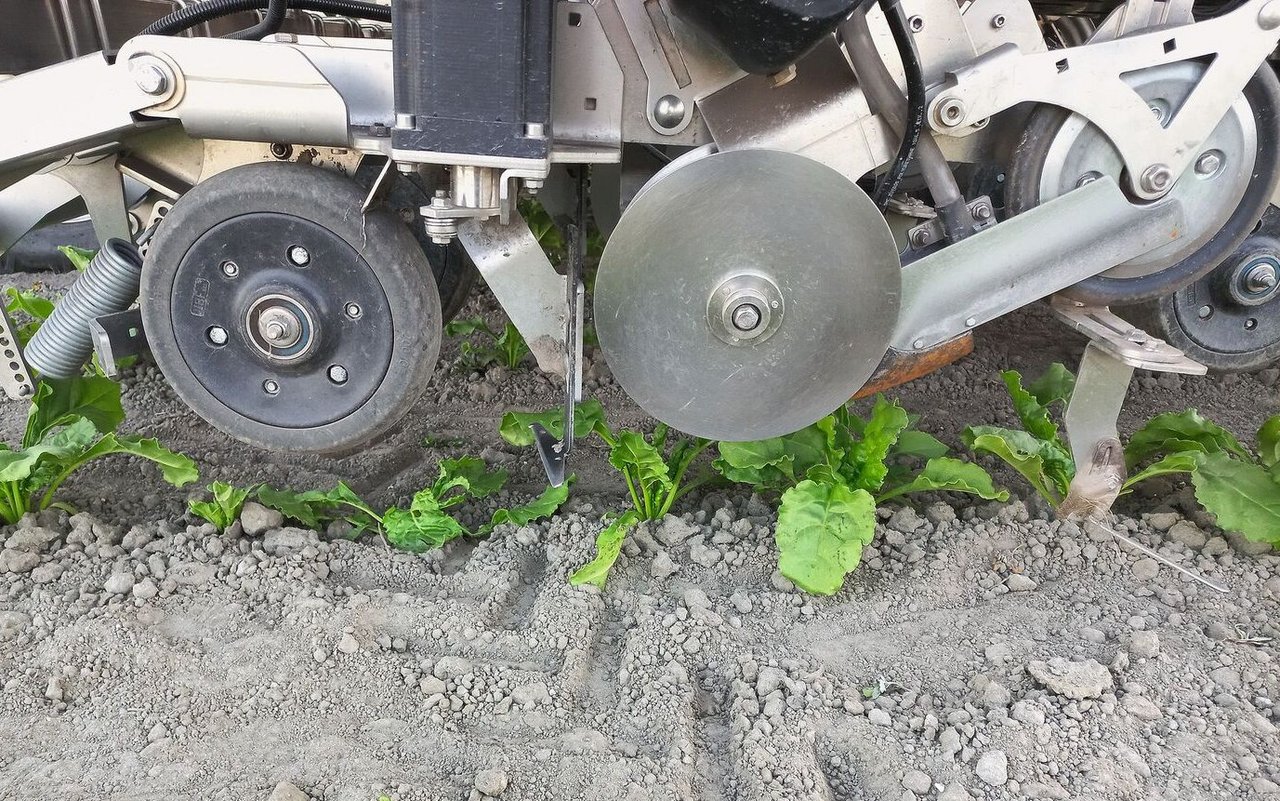 Dank GPS RTK kann der Ablageort der Rübe genau geortet werden.