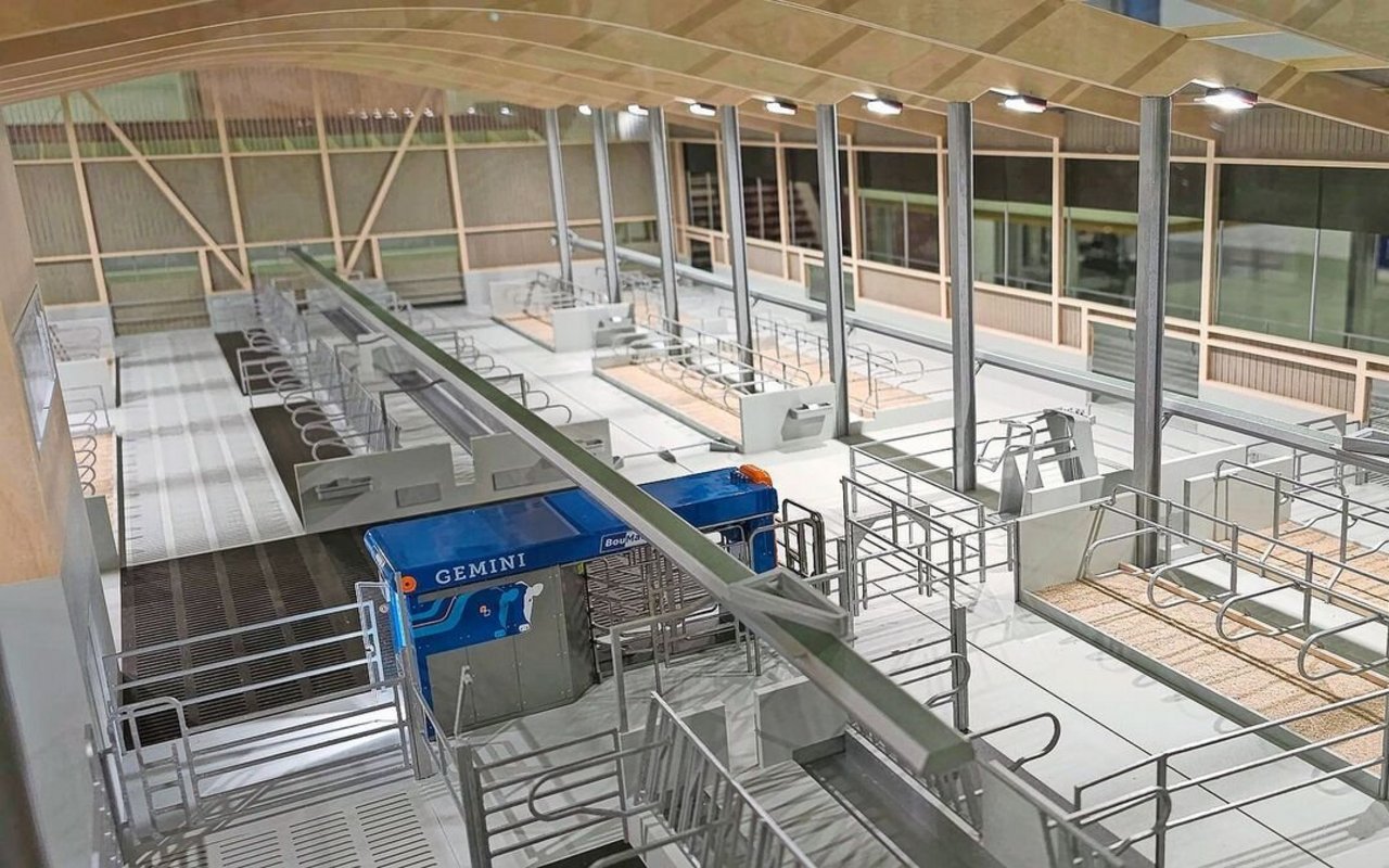 Thomas Moser sagt, dass individuelle Lösungen nicht teuer sein müssten, aber gut durchdacht.